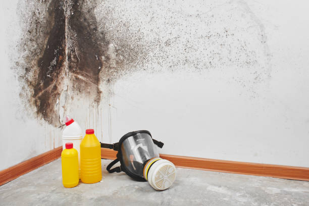 Best Industrial Mold Remediation in Garnett, KS
