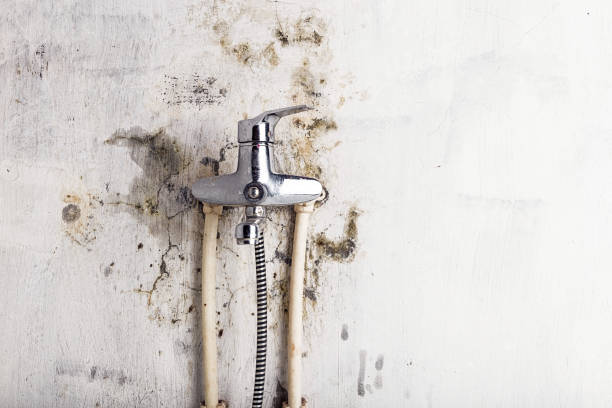 Best Industrial Mold Remediation in Garnett, KS